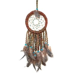Homemade Dream Catcher, Unique Colors